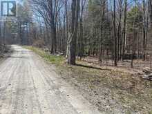 LOT 2 SWEETFERN LANE | South Frontenac Ontario | Slide Image Six