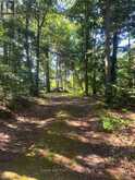 186 SHELDRAKE LAKE ROAD | Addington Highlands Ontario | Slide Image Ten
