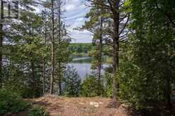 313 RACCOON LAKE TRAIL ROAD | Addington Highlands Ontario | Slide Image Thirty-nine