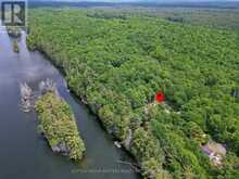 313 RACCOON LAKE TRAIL ROAD | Addington Highlands Ontario | Slide Image Forty-six