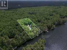313 RACCOON LAKE TRAIL ROAD | Addington Highlands Ontario | Slide Image Six