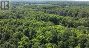 PT LT 13 RITCHIE ROAD | Inverary Ontario | Slide Image Four