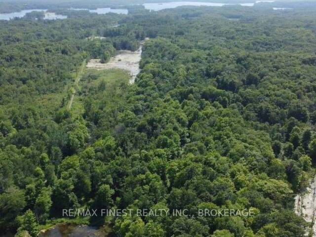 PT LT 13 RITCHIE ROAD Inverary Ontario, K0H 2L0 - Vacant Land For Sale