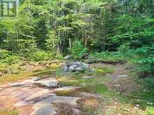663 SKOOTAMATTA LAKE ROAD | Addington Highlands Ontario | Slide Image Six
