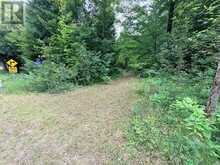 663 SKOOTAMATTA LAKE ROAD | Addington Highlands Ontario | Slide Image Two