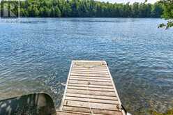 20 PORCUPINE ISLAND | Inverary Ontario | Slide Image Five