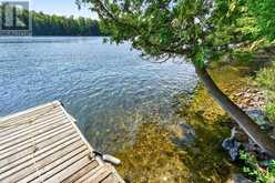 20 PORCUPINE ISLAND | Inverary Ontario | Slide Image Six