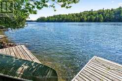 20 PORCUPINE ISLAND | Inverary Ontario | Slide Image Seven
