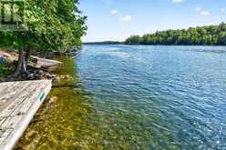 20 PORCUPINE ISLAND | Inverary Ontario | Slide Image Eight