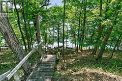 20 PORCUPINE ISLAND | Inverary Ontario | Slide Image Nine