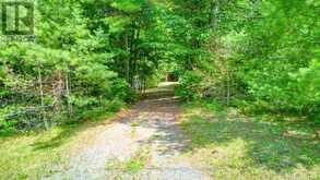 2282 MYERS CAVE ROAD | Addington Highlands Ontario | Slide Image Thirty-four