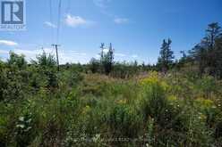 1707 COUNTY ROAD 2 | Prince Edward Ontario | Slide Image Seven