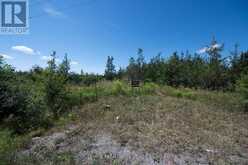 1707 COUNTY ROAD 2 | Prince Edward Ontario | Slide Image Eight