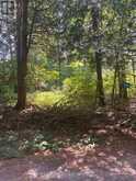 23 - 1014 SUMAC TRAIL | Arden Ontario | Slide Image One