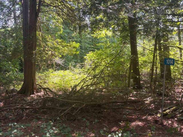 23 - 1014 SUMAC TRAIL Arden Ontario, K0H 1B0 - Vacant Land For Sale
