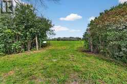 NEAR 1549 DOYLE ROAD | Loyalist Ontario | Slide Image Two