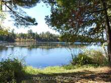 PT LT 23 CON 7 PEBBLE LANE S | Inverary Ontario | Slide Image Ten