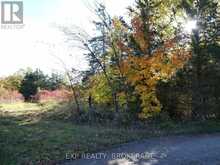 PT LT 23 CON 7 PEBBLE LANE S | Inverary Ontario | Slide Image One