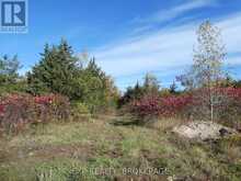 PT LT 23 CON 7 PEBBLE LANE S | Inverary Ontario | Slide Image Two