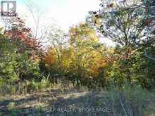 PT LT 23 CON 7 PEBBLE LANE S | Inverary Ontario | Slide Image Four