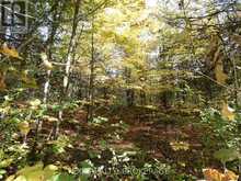 PT LT 23 CON 7 PEBBLE LANE S | Inverary Ontario | Slide Image Five
