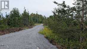 0 COUNTY ROAD 2 | Kingston Ontario | Slide Image Thirteen