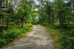 169 OLD RIVER ROAD | Leeds and the Thousand Islands Ontario | Slide Image Three