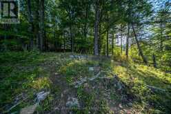 CON 11, LOT 6 HINCHINBROOKE ROAD | South Frontenac Ontario | Slide Image Ten
