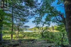 CON 11, LOT 6 HINCHINBROOKE ROAD | South Frontenac Ontario | Slide Image Eleven