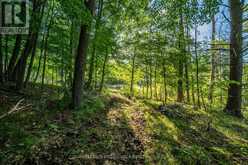 CON 11, LOT 6 HINCHINBROOKE ROAD | South Frontenac Ontario | Slide Image Twelve