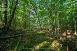 CON 11, LOT 6 HINCHINBROOKE ROAD | South Frontenac Ontario | Slide Image Thirteen