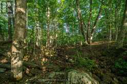 CON 11, LOT 6 HINCHINBROOKE ROAD | South Frontenac Ontario | Slide Image Fifteen