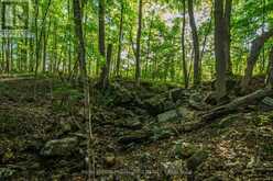 CON 11, LOT 6 HINCHINBROOKE ROAD | South Frontenac Ontario | Slide Image Sixteen