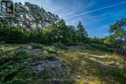CON 11, LOT 6 HINCHINBROOKE ROAD | South Frontenac Ontario | Slide Image Seventeen