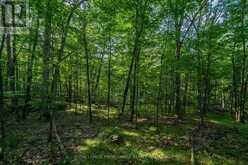 CON 11, LOT 6 HINCHINBROOKE ROAD | South Frontenac Ontario | Slide Image Twenty