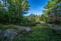 CON 11, LOT 6 HINCHINBROOKE ROAD | South Frontenac Ontario | Slide Image Twenty-one