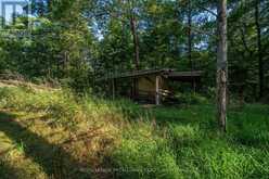 CON 11, LOT 6 HINCHINBROOKE ROAD | South Frontenac Ontario | Slide Image Twenty-five