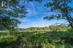 CON 11, LOT 6 HINCHINBROOKE ROAD | South Frontenac Ontario | Slide Image Nine