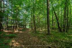CON 11, LOT 6 HINCHINBROOKE ROAD | South Frontenac Ontario | Slide Image Twenty-eight