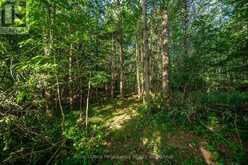 CON 11, LOT 6 HINCHINBROOKE ROAD | South Frontenac Ontario | Slide Image Thirty