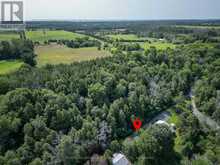 19 PC LANE | Prince Edward Ontario | Slide Image Forty-four