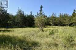 LOT 16 WESTPLAIN ROAD | Greater Napanee Ontario | Slide Image Four