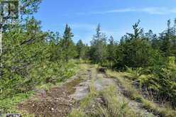 LOT 16 WESTPLAIN ROAD | Greater Napanee Ontario | Slide Image Five