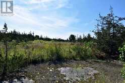 LOT 16 WESTPLAIN ROAD | Greater Napanee Ontario | Slide Image Six