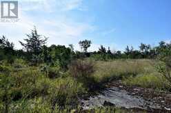 LOT 16 WESTPLAIN ROAD | Greater Napanee Ontario | Slide Image Seven