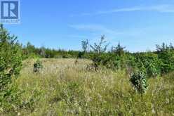 LOT 16 WESTPLAIN ROAD | Greater Napanee Ontario | Slide Image Eight
