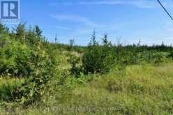 LOT 16 WESTPLAIN ROAD | Greater Napanee Ontario | Slide Image Nine