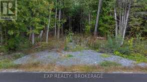 LOT 1 HORNING ROAD | Kingston Ontario | Slide Image Five