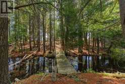 20800 HORSESHOE ISLAND | South Frontenac Ontario | Slide Image Thirty-eight