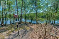 2238 LITTLE LONG LAKE ROAD | South Frontenac Ontario | Slide Image Thirty-two